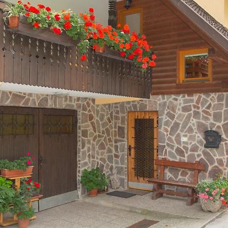 Apartma Erlah Διαμέρισμα Bohinj Εξωτερικό φωτογραφία