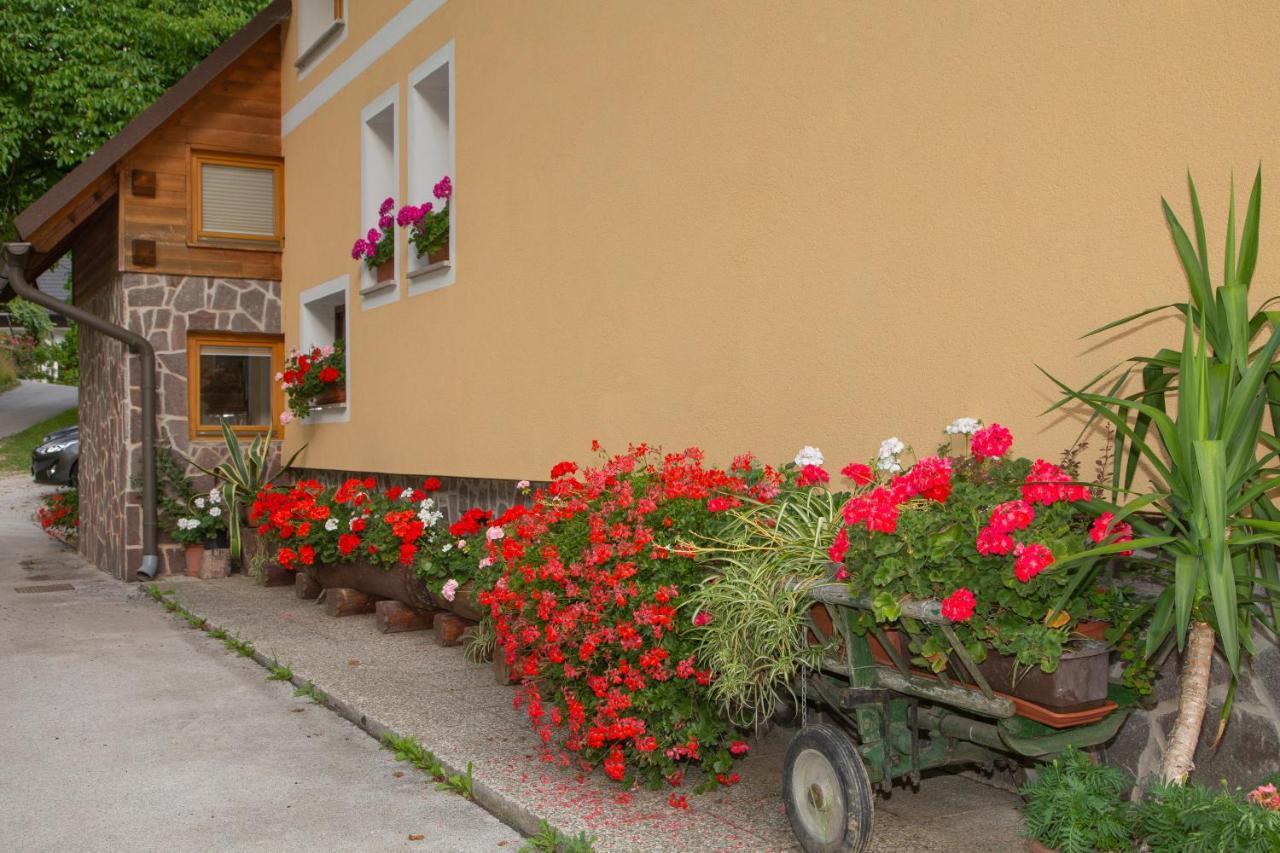Apartma Erlah Διαμέρισμα Bohinj Εξωτερικό φωτογραφία